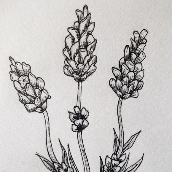 Meet your Posher, Aria - Picture 1 of 1